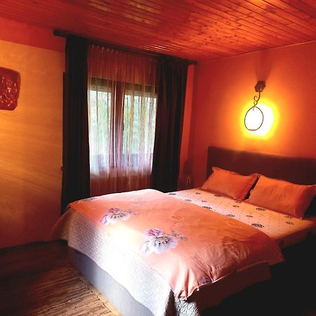 Casa Artemi Hotel Remeţi Екстериор снимка