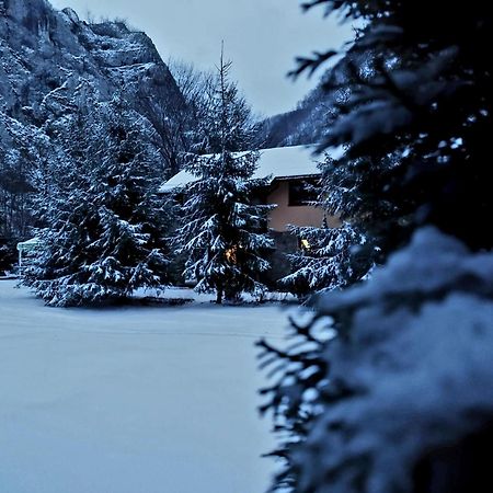 Casa Artemi Hotel Remeţi Екстериор снимка