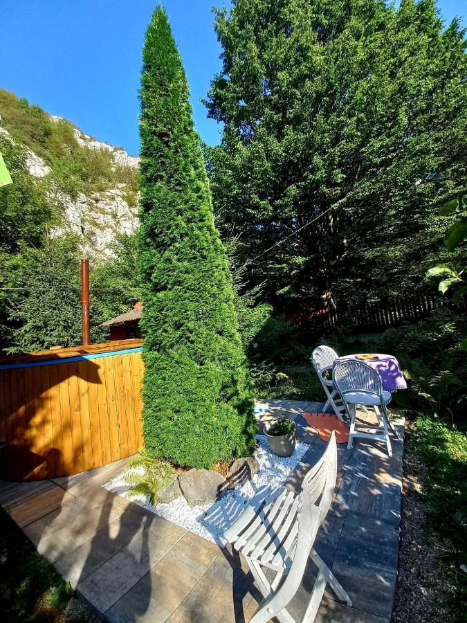 Casa Artemi Hotel Remeţi Екстериор снимка