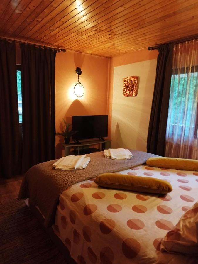 Casa Artemi Hotel Remeţi Екстериор снимка