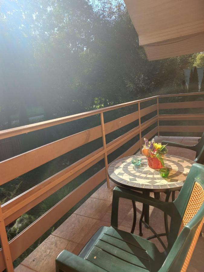 Casa Artemi Hotel Remeţi Екстериор снимка