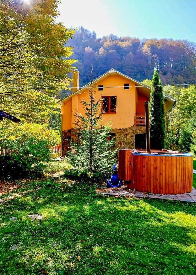Casa Artemi Hotel Remeţi Екстериор снимка