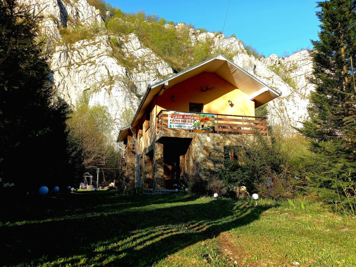 Casa Artemi Hotel Remeţi Екстериор снимка