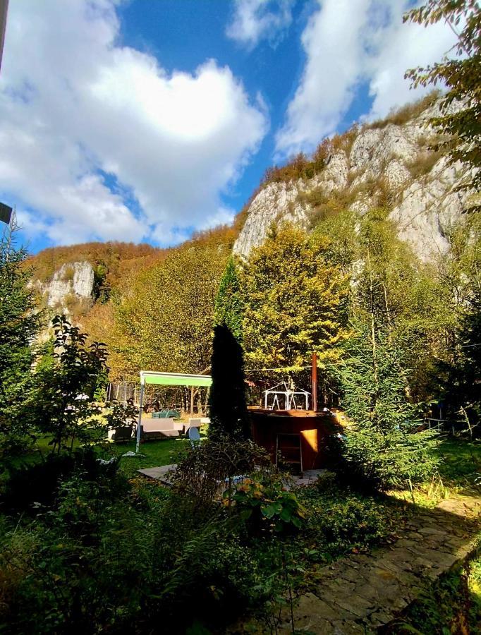 Casa Artemi Hotel Remeţi Екстериор снимка