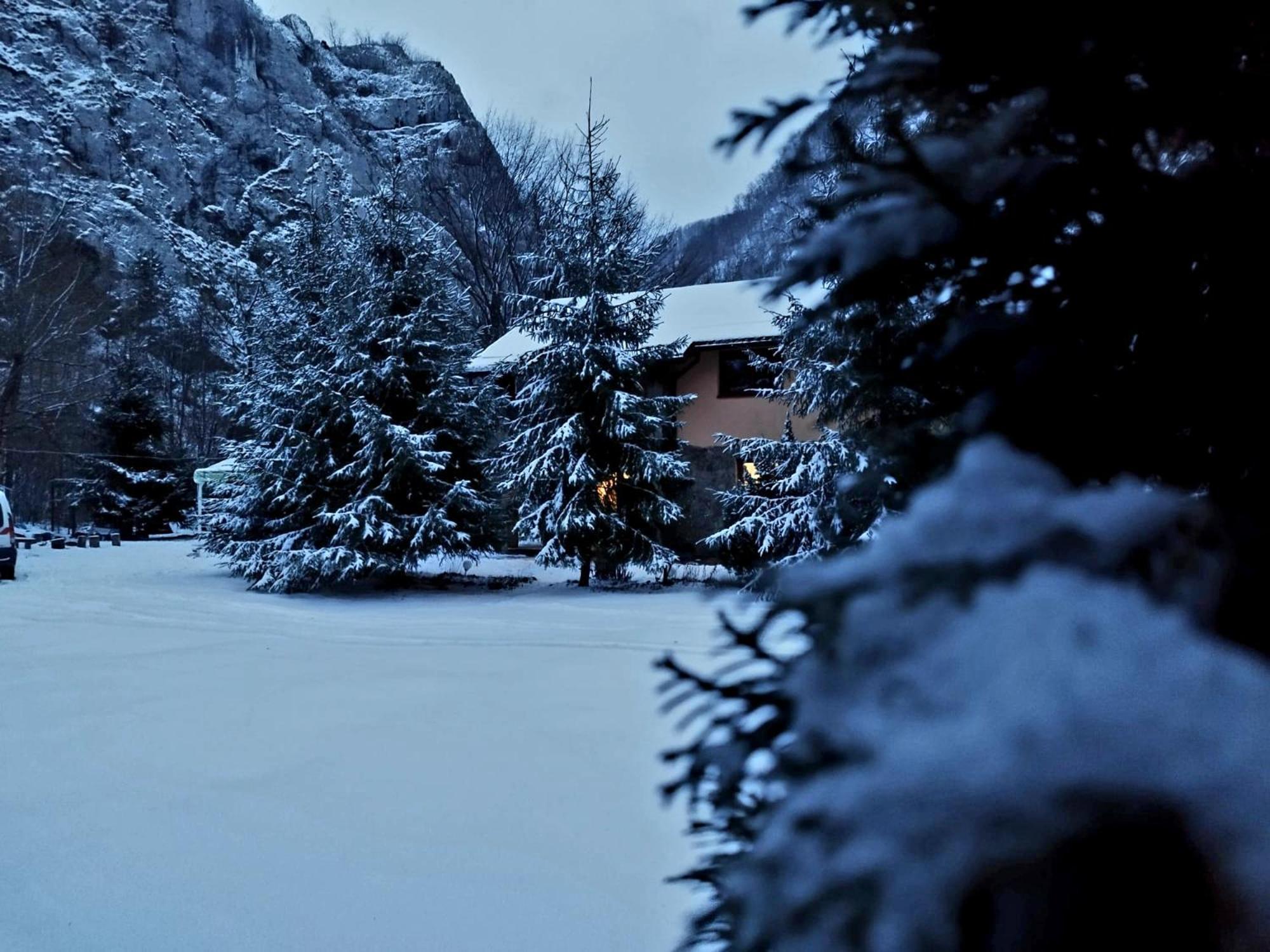 Casa Artemi Hotel Remeţi Екстериор снимка